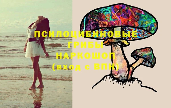 альфа пвп Алексеевка