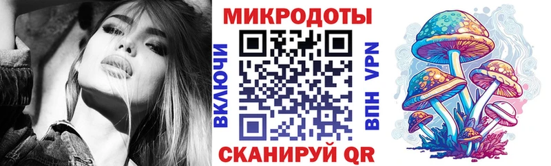 кракен как войти  Михайловск  Псилоцибиновые грибы мицелий 